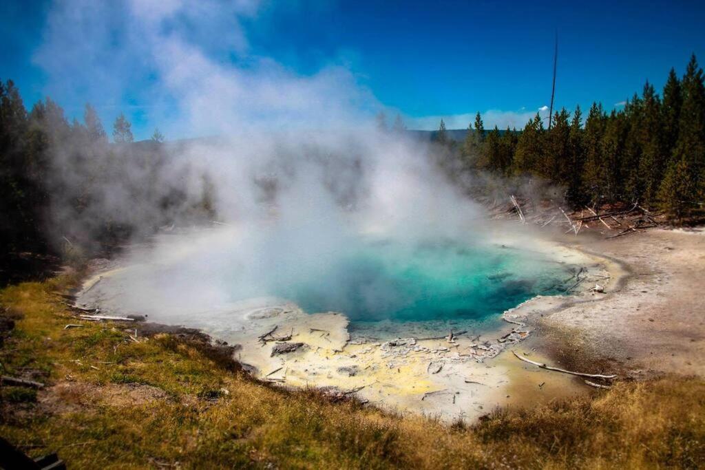 White Owl Retreat Yellowstone Grand Teton 아일랜드 파크 외부 사진