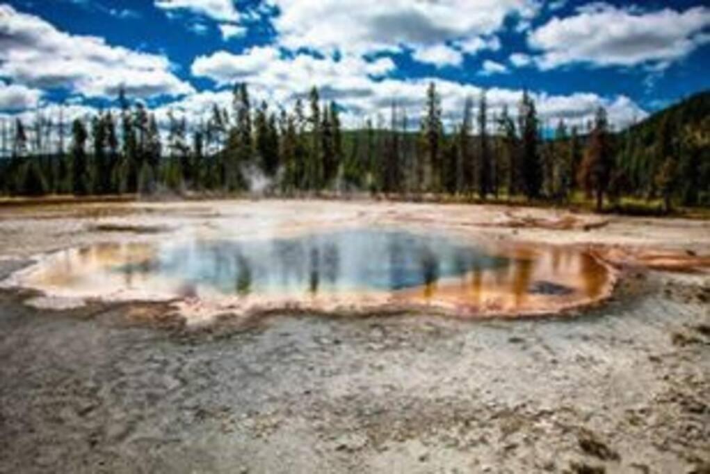 White Owl Retreat Yellowstone Grand Teton 아일랜드 파크 외부 사진